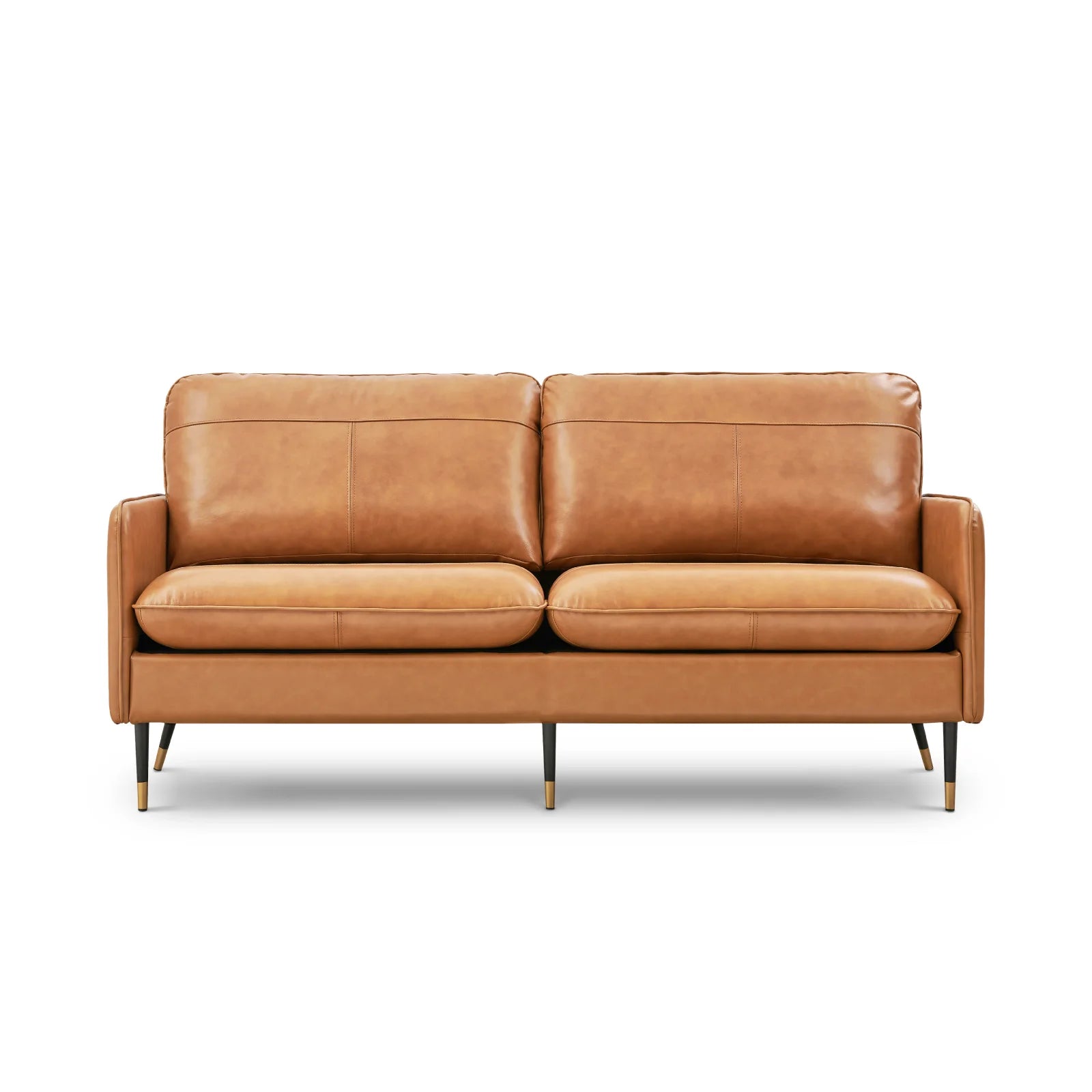 Anycost Top Grain Sofa